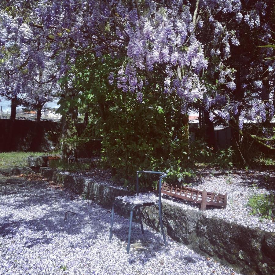 Casa Da Costeira Villa Figueiro ภายนอก รูปภาพ